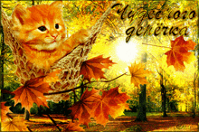 осень котик гамак GIF - осень котик гамак листья GIFs