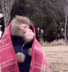 Monke Monkey GIF - Monke Monkey Snow GIFs