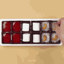 a tray of food with cashews and marshmallows is labeled as easy plus
