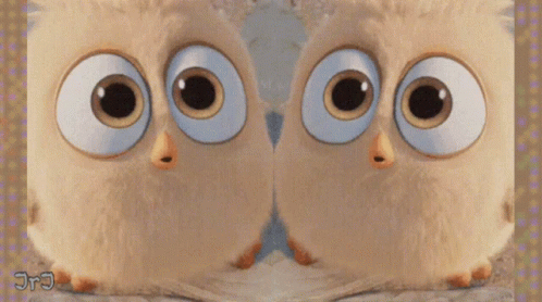 Cute Animals GIF - Cute Animals Tongue Out - Discover & Share GIFs Cute Animals GIF - Cute Animals Tongue Out - Discover & Share GIFs