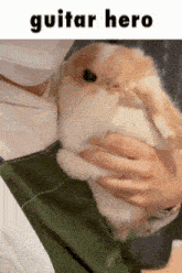 a person is holding a small brown and white rabbit in their arms with the words guitar hero above it .
