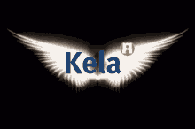 Kela Wings GIF - Kela Wings GIFs
