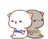 a couple of cartoon cats sitting next to each other with the name aiden on the bottom right