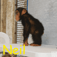 Neil GIF - Neil GIFs