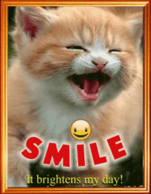 Smiles It Brightens My Day GIF - Smiles It Brightens My Day GIFs