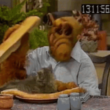 Alf Cat Sandwich GIF - Alf Cat Sandwich Alien GIFs
