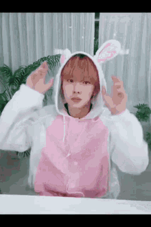 Junhyuk Bang GIF - Junhyuk Bang Bunny GIFs