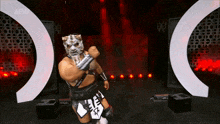 a wrestler wearing a mask with the number 42 on his skirt