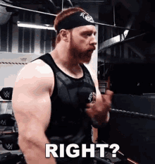 Right Sheamus GIF - Right Sheamus Celtic Warrior Workouts GIFs