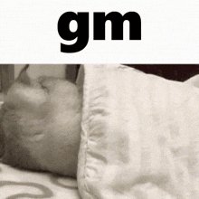 Gm Gif GIF - Gm Gif Good GIFs