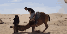 Fails Camel GIF