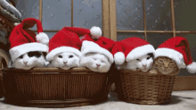 Kitties Christmas Kitties GIF - Kitties Christmas Kitties Winking GIFs