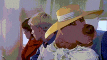 a woman wearing a straw hat is sitting on a plane