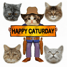 Happy Caturday Saturday GIF
