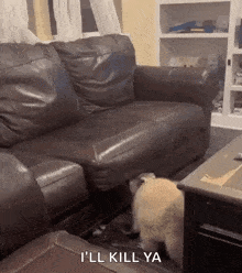 a dog is standing next to a couch in a living room with the words `` i 'll kill ya '' .