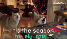 Tis The Season To Celebrate Barking GIF - Tis The Season To Celebrate Barking Howling GIFs