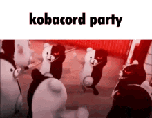 Kobacord Kobayashi GIF