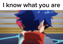 a picture of a boy with blue hair and the words i know what you are above him