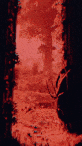 a painting of a deer in a forest with red trees
