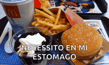 a mcdonald 's tray with a hamburger and french fries