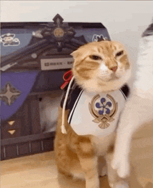 Yae Miko Cat GIF - Yae Miko Cat Gets Smacked GIFs