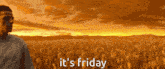 a man standing in a field with the words " it 's friday "