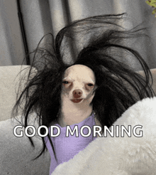a picture of a dog with a wig and the words good morning below it