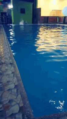 Swimming Animation GIFs | Tenor