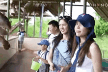 a group of people are standing next to each other in front of a giraffe in a zoo .