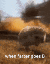 Farter B GIF - Farter B Farter GIFs