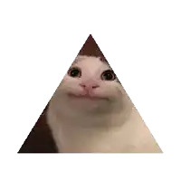 a pyramid with a cat 's face on it on a white background