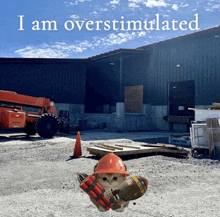 a cat wearing a hard hat is holding a bomb in front of a building that says " i am overstimulated "