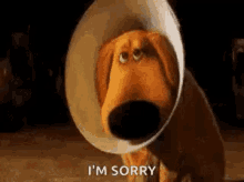 Im Sorry Sad GIF - Im Sorry Sad Dog GIFs