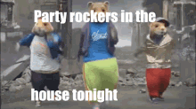 Party Rats Party Rockers GIF - Party Rats Party Rockers Kia Rat GIFs