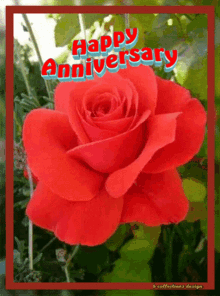 a red rose with the words " happy anniversary " on it