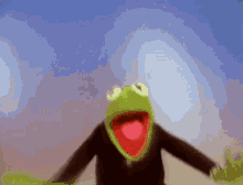Happy Day Fun GIF - Happy Day Fun Frog GIFs