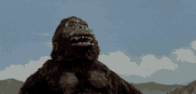 King Kong Blinking King Kong Vs Godzilla GIF - King Kong Blinking King Kong Vs Godzilla 1962 GIFs