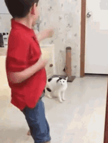 cat kicking dog meme