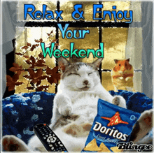 Cat Weekend Happy Weekend GIF - Cat Weekend Happy Weekend Cat GIFs