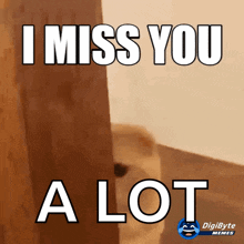 Miss You Cat GIF - Miss You Cat Gato GIFs