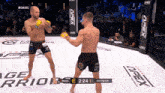 Paul Hughes Cage Warriors GIF - Paul Hughes Cage Warriors GIFs