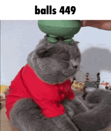a cat wearing a red shirt is sitting on the floor with balls on its head .