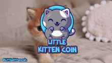 little kitten coin