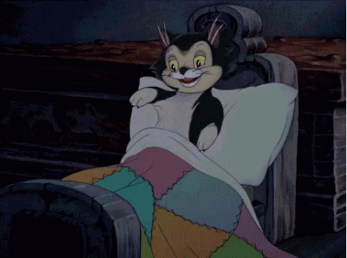 Cat Bed GIF - Cat Bed Disney - Discover & Share GIFs