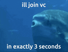 I'Ll Join Vc In Exactly 3 Seconds Fish GIF