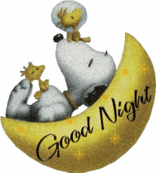Snoopy Goodnight GIF - Snoopy Goodnight Woodstuck GIFs