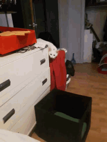 Attention Cat GIF - Attention Cat About To GIFs