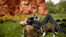 Playing With The Dogs Neill Diamond GIF - Playing With The Dogs Neill Diamond Something Blue GIFs