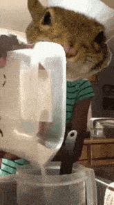 GIF