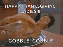 Thanksgiving Turkey GIF - Thanksgiving Turkey GIFs